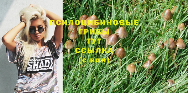 a pvp Бугульма
