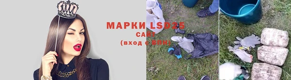 прущая мука Верея