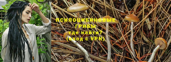 герыч Бронницы